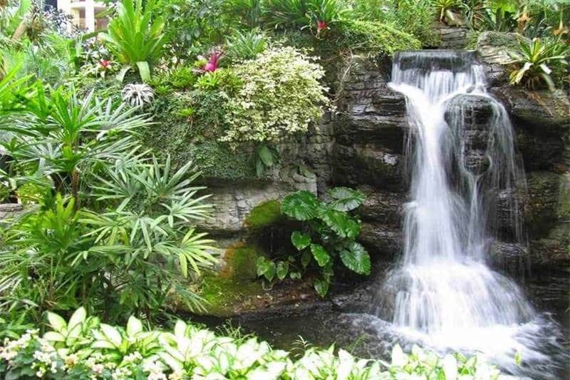 Cây bố trí cho tiểu cảnh phải hợp lý hòa quyện cả về thẩm mỹ lẫn phong thủy
